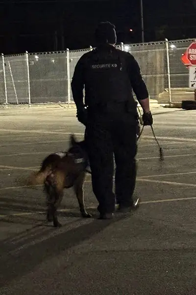 Patrouille en duo "Agent et son K9"